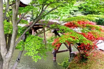 <p>The villa is in the middle of nowhere, and so there is greenery and quiet everywhere</p>