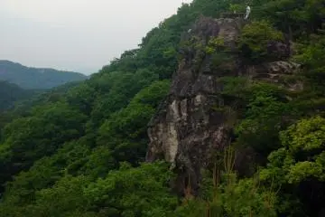 <p>Dense green forest surrounds climbers</p>