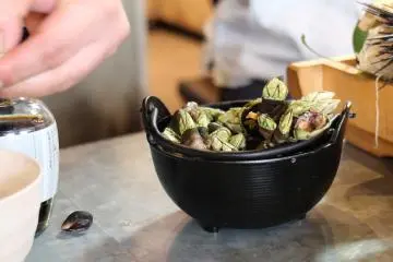 <p>Some kame no te - literrally meaning "turtle's hand" - they are only seafood but oddly look like the feet of our cute little shelled friends.</p>