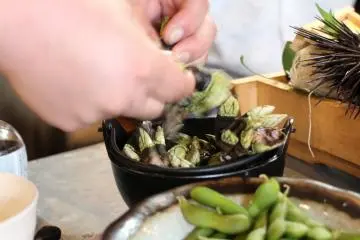 <p>You need to open the shell in order to eat the mollusk hidden inside</p>