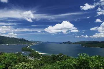 View of the pine trees on sandbank
