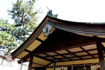 <p>Shrine roof and a pine tree</p>