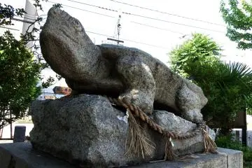 <p>Close-up look of the stone turtle looking up at the sky</p>