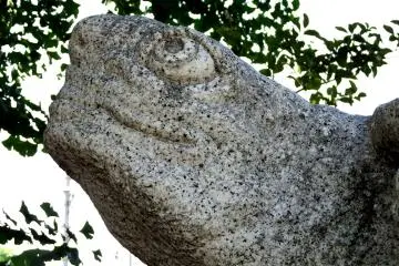 <p>To me he looks optimistic and happy</p>