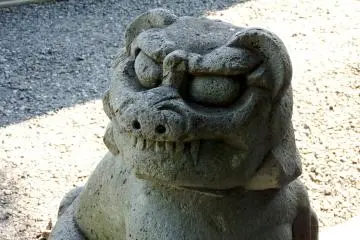 <p>Modern look of the Shakudani guardian dog</p>