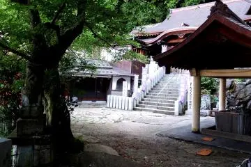 <p>Trees and the purification font on the grounds of Fudoji Temple</p>