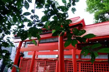 <p>Red torii gate of a small shrine on the grounds of Fudoji Temple in Fukui</p>