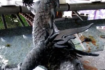 <p>The back of the dragon at the purification font</p>