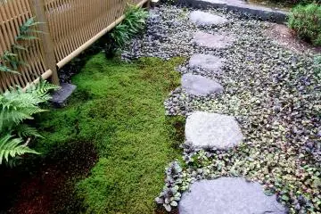 <p>Steppingstones leading to the cemetery at the back of the temple</p>