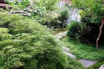 <p>There was nobody in the small, quiet garden...how lucky!</p>
