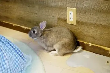 <p>Watching the customers...</p>