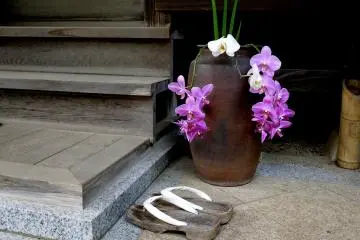 <p>Pretty arrangement of orchids beside the steps</p>