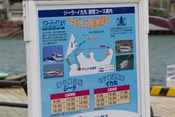 <p>Next to the Zeela is the Ikamaru, the boat resembling a squid, which travels out for views of the Nanatsugama, 7 pot-like caves&nbsp;in basalt sea cliffs</p>