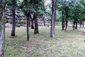 <p>Trees are standing sadly as though feeling sorry for the short life of Toyotomi Hideyori, the heir to Japan's king, Toyotomi Hideyoshi</p>