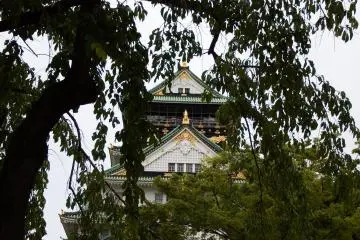 <p>The main tower viewed through tree branches</p>