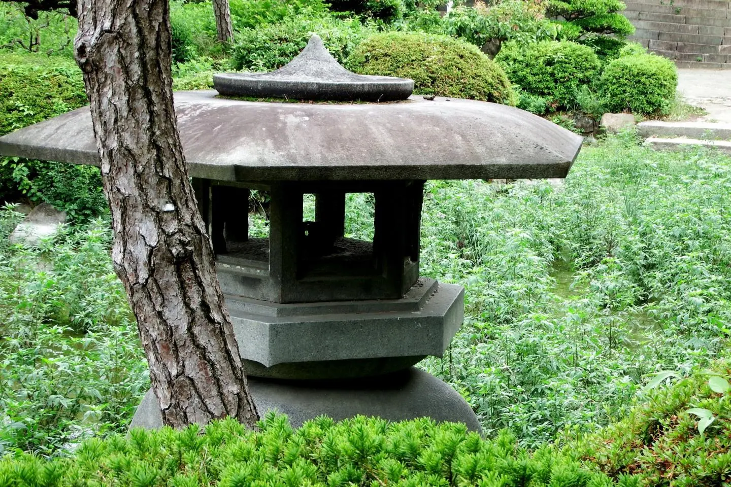 Ultimate Guide to Osaka Castle: 10