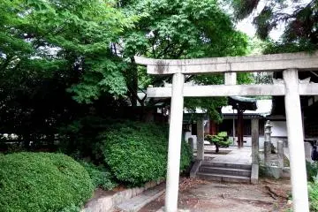 호코쿠 사당 구석에 작은 도리이 문들이 있는데 정말 이쁘더라