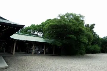 <p>Nobody was there and I loved the tranquility of the place</p>