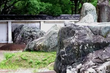 다른 돌과 모래, 잡초가 여기저기 자라고 있다