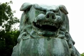 <p>Close-up of a bluish guardian dog</p>