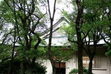 <p>Some young men were practicing Kendo (Japanese fencing) inside Shudo-kan, and their characteristic yells were echoing in the silent woods</p>