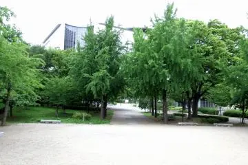 <p>Open space in front of Kyoikuto, which is located on the edge of Osaka Castle Park, thus, some buildings outside of it are seen</p>