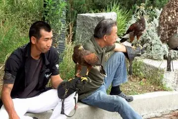 <p>The biggest bird on the right is guess what? an owl!</p>