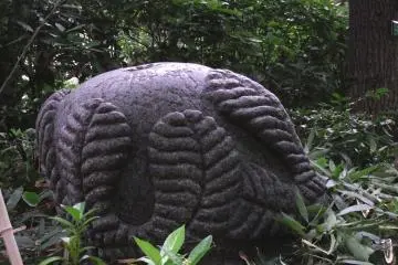 <p>What's this?</p>