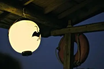 <p>...แล้วอาทิตย์ก็ลับขอบฟ้าเข้าสู่ยามค่ำคืน...</p>