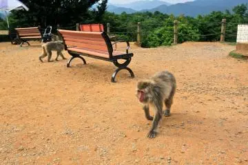 <p>...เจอละตัวหนึ่ง...</p>