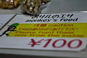 <p>...ให้อาหารลิง 100 เยน...</p>