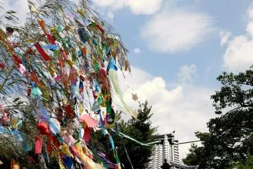 대나무 잎과 종이를 흩날리는 산들바람