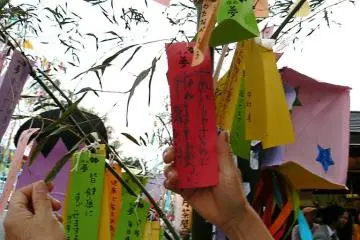 어린이들이 소망이 적힌 색종이들