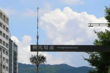 <p>The tall top of a flat appears above a street sign</p>