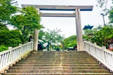 Gallery image