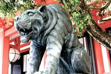 Gallery image
