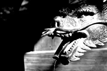 <p>The font dragon</p>