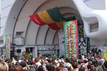 The crowd rocking along to the entertainment