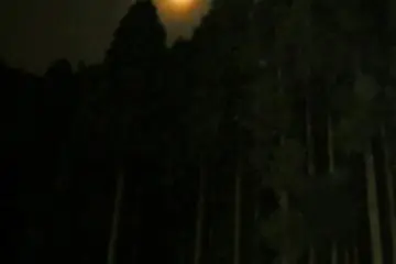 <p>The moon rising over tall evergreen trees that surround Kurama</p>