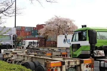 A lost cherry tree can make a trucker happy!