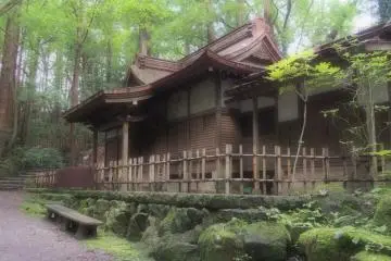 <p>This closed-up house was nestled in among the trees</p>