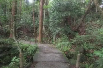 <p>The neatly laid pathways are easy to follow</p>