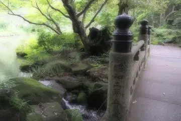 <p>A bridge over a small flowing creek, from the large pond beyond</p>