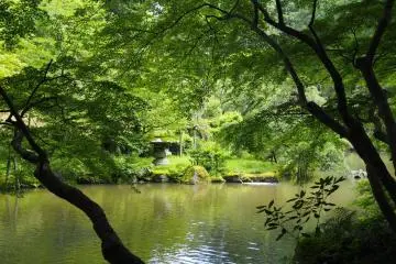 <p>The beautiful park was cool even on a hot, summer day. The perfect relief from the busy Naritasan temple site</p>