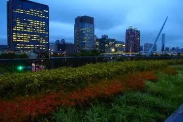 <p>Pemandangan transisi menuju musim gugur di Odaiba.</p>