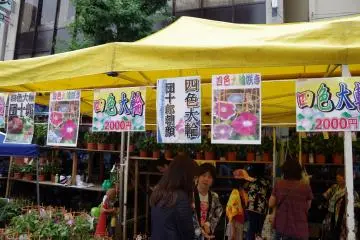 <p>ดอกมอร์นิ่ง กลอรี่ หลายๆ แบบไว้ให้หาซื้อ</p>