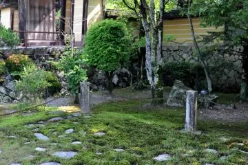 Juste en face du temple on trouve des vestiges de l'ancienne civilisation japonaise