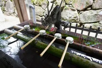 Pour purifier vos mains