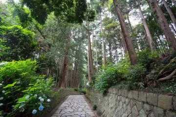 Le chemin pavé du complexe