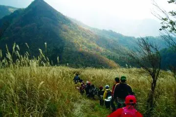 <p>Menjejaki jalan yang jarang dilewati</p>